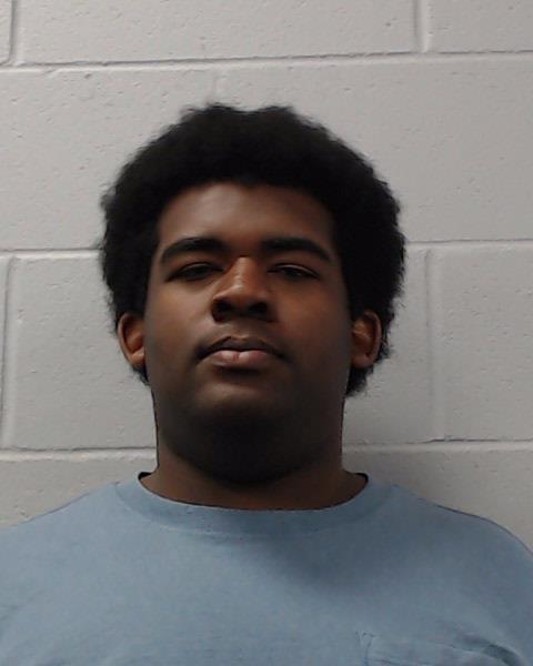 Stanley-Reed, O Marion arrested by Hays County SO/PD