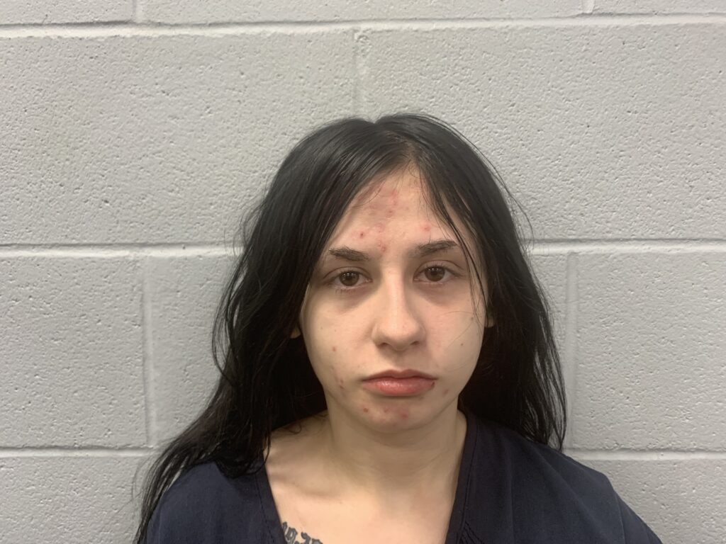 Davies, Sunshine Marie arrested in Hays County, Texas mugshot