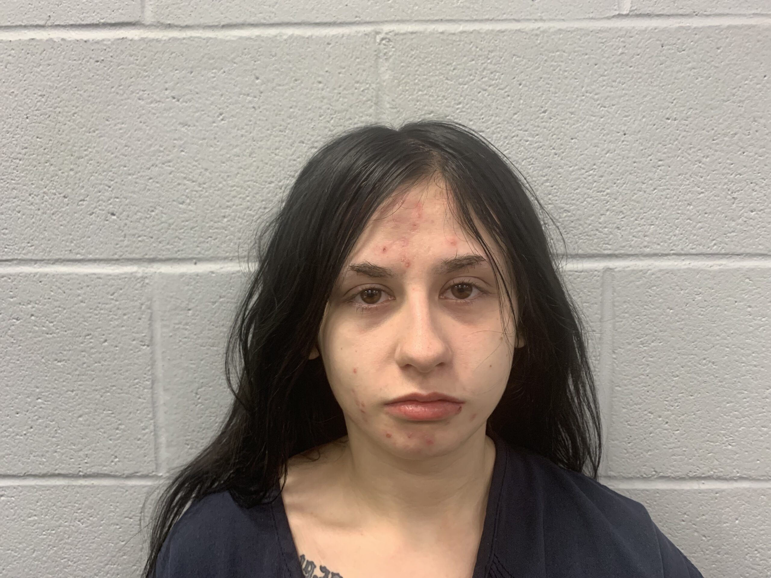 Davies, Sunshine Marie arrested by Hays County SO/PD