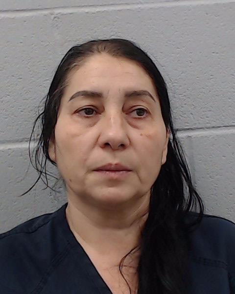 Lache, Mirela Romana arrested by Hays County SO/PD