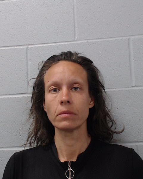 Watson, Kelly Michelle arrested by Hays County SO/PD