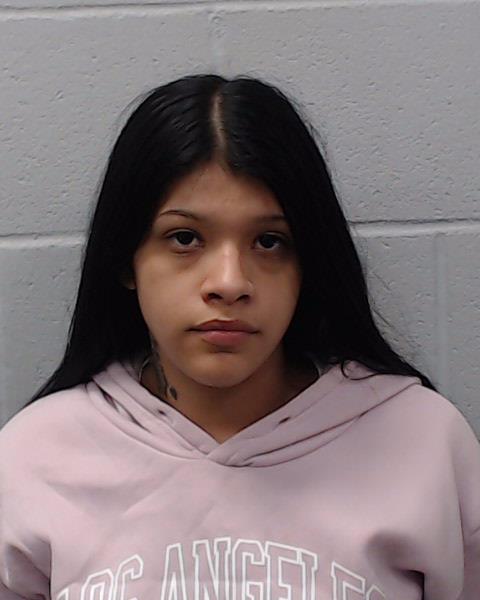 Rios, April Lynn arrested by Hays County SO/PD