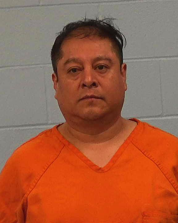 Lara Yanez, Pedro booking photo