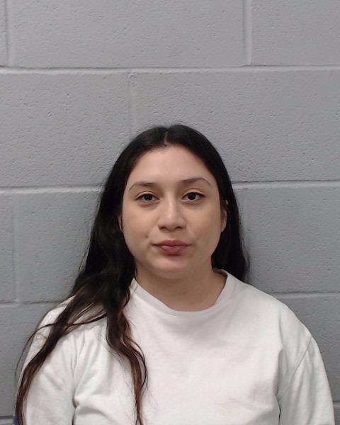 Perez, Mi Lee Nicole arrested by Hays County SO/PD