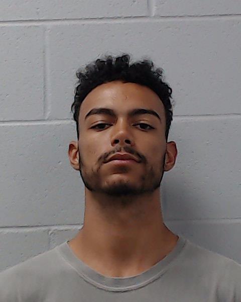 Grant, William Andrew arrested by Hays County SO/PD