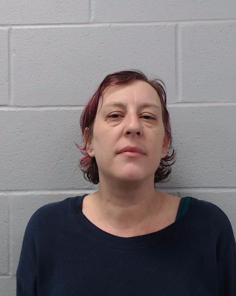 McLean, Trista Deanne arrested by Hays County SO/PD