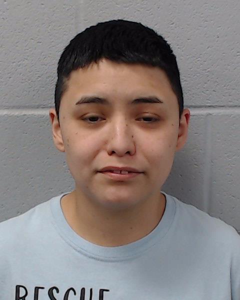 Sanchez, Samantha Michelle arrested by Hays County SO/PD
