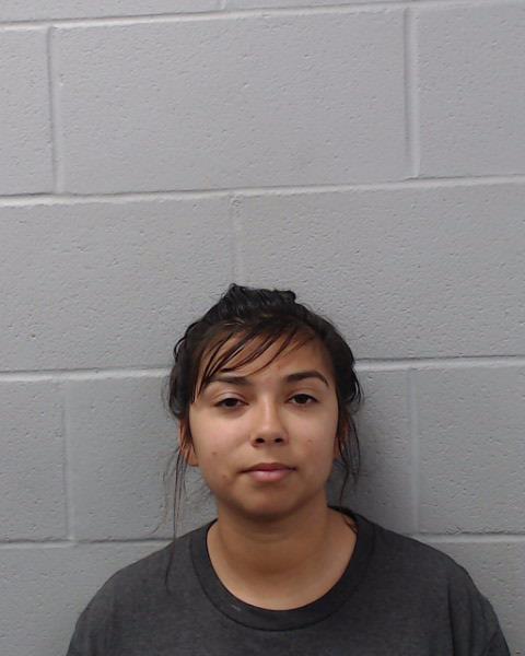 McGinty, Alexis Dawn arrested by Hays County SO/PD