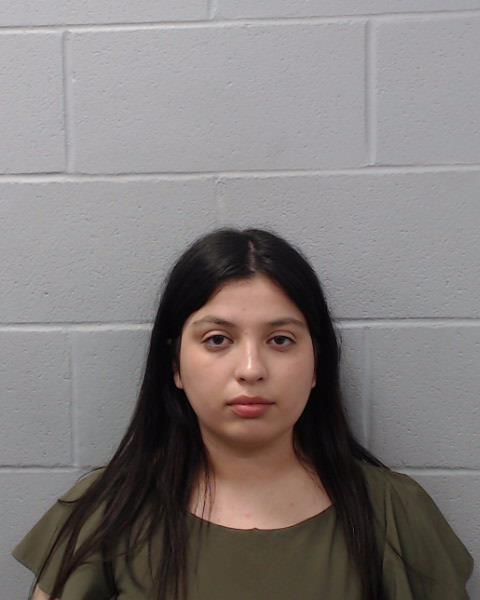 Marinez, Allison arrested by Hays County SO/PD