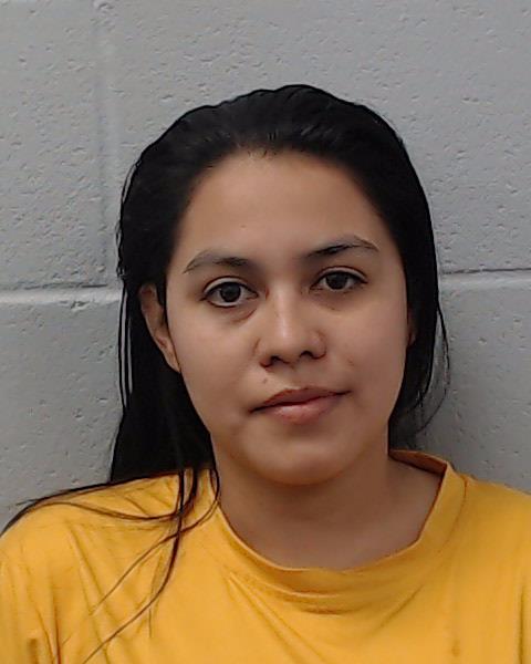 Mejia Estevez, Gleny Vanessa arrested by Hays County SO/PD
