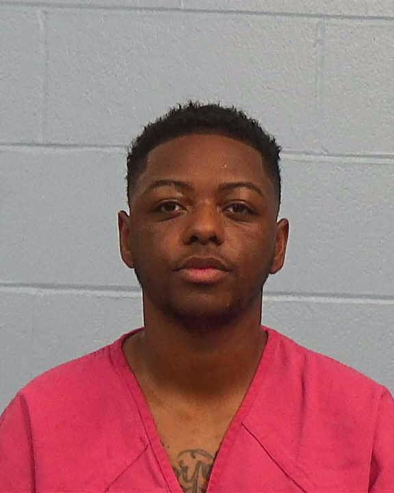 Johnson, Antoneice Thelmamarie arrested by Williamson County PD/SO