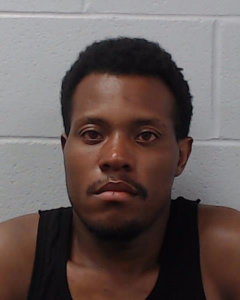Lewis, Robert Lee arrested by Hays County SO/PD