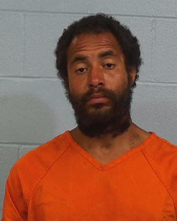 Williams, Dustin Casey arrested by Williamson County PD/SO