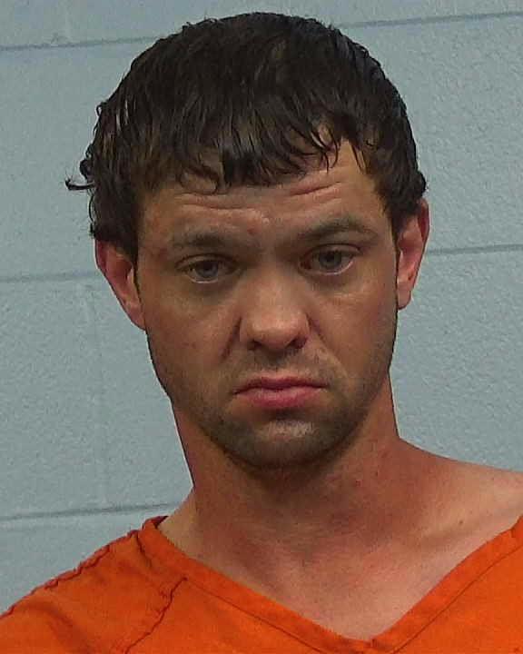 White, Robert Edward arrested by Williamson County PD/SO