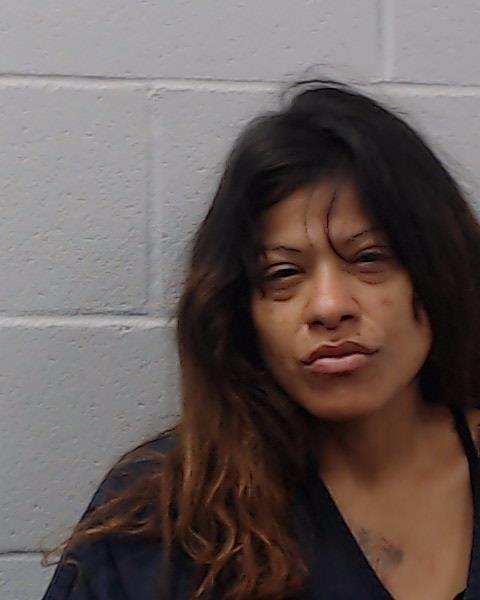Castillo, Tracy arrested by Hays County SO/PD