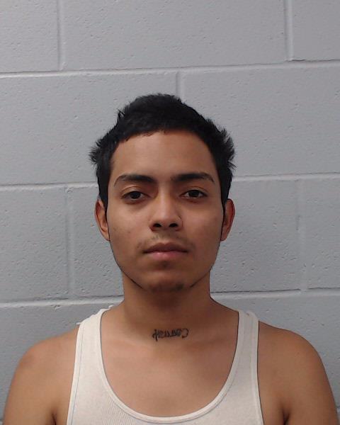 Fajardo, Luis arrested by Hays County SO/PD