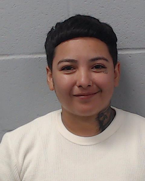 Garza, Brittney Nichole arrested by Hays County SO/PD