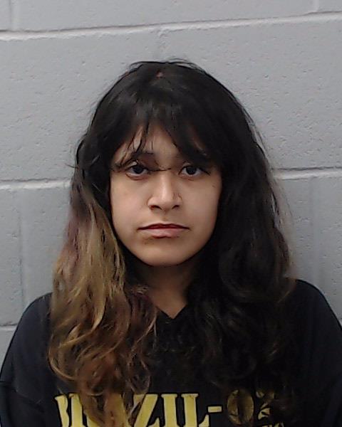 Gonzalez, Breanna Rene arrested by Hays County SO/PD