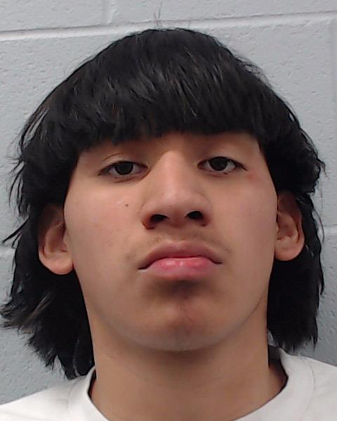 Rosalez, Noah Alexander arrested by Hays County SO/PD