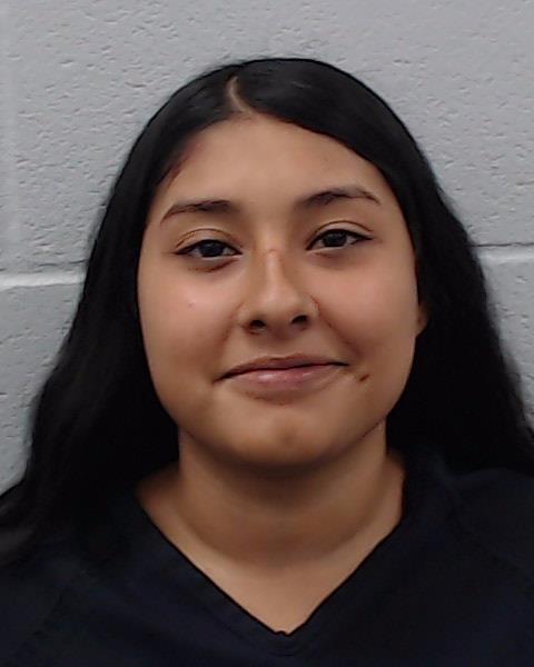 Torres, Cecelia Ana arrested by Hays County SO/PD