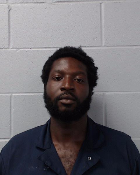 Williams, Sean Rydell arrested by Hays County SO/PD