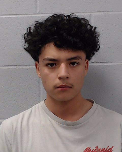 Arellano Martinez, Daniel booking photo