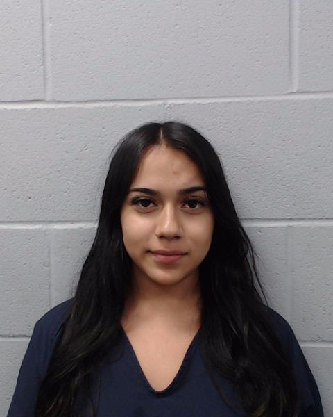 Gallegos, Aliya Renee arrested by Hays County SO/PD