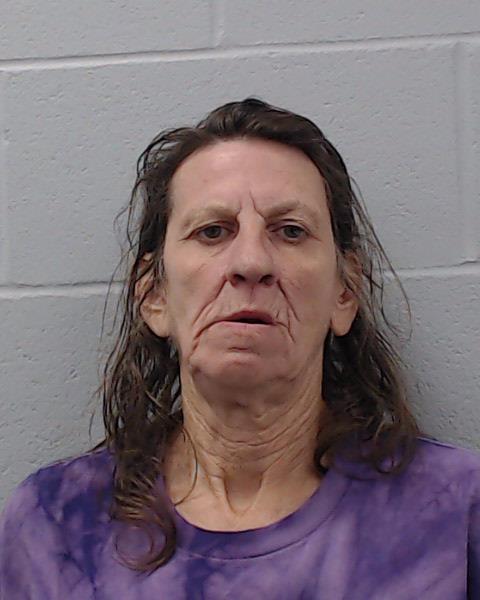 Pruitt, Tammy Lynn arrested by Hays County SO/PD