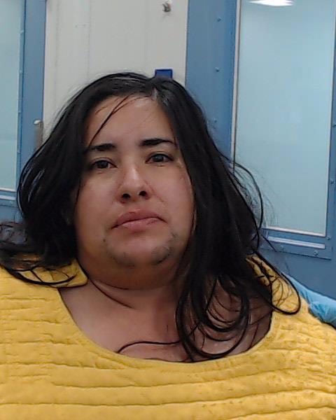 Williams, Crystal Rene arrested by Hays County SO/PD