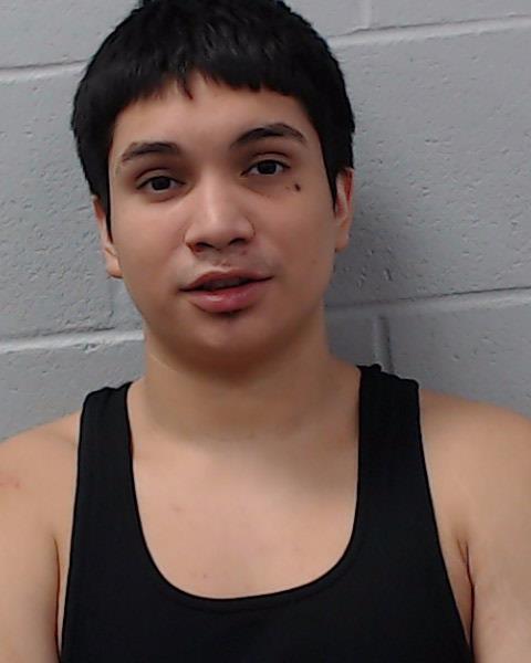 Garcia, Dominic arrested by Hays County SO/PD
