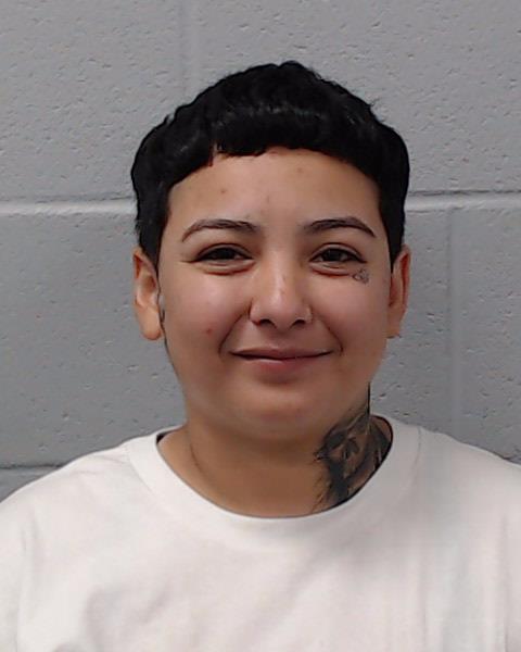 Garza, Brittney Nichole arrested by Hays County SO/PD