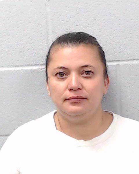 Hernandez Vasquez, Elbia arrested by Hays County SO/PD