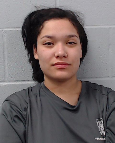 Williams, Skylaar Faye arrested by Hays County SO/PD
