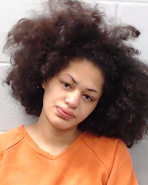 Jenkins, Nakoria Renae arrested by Hays County SO/PD