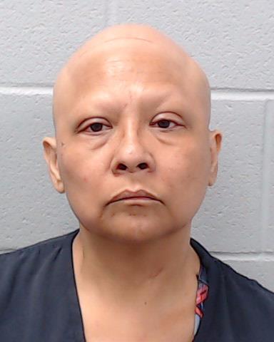 Sanchez, Cynthia Ann arrested by Hays County SO/PD