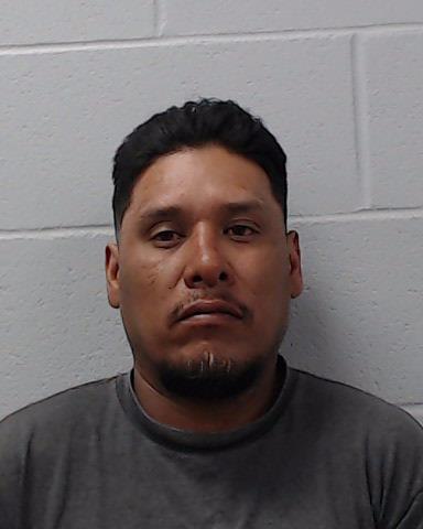 Mejia Ibarra, Ricardo Daniel arrested by Hays County SO/PD