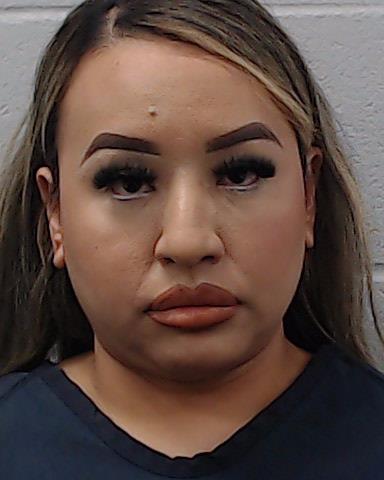 Perales Pina, Reyna Rebecca arrested by Hays County SO/PD