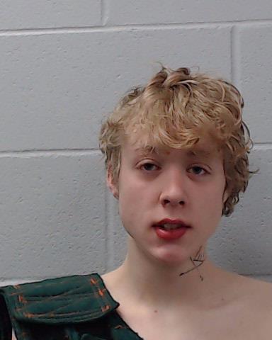 Buis, Miles Daniel arrested by Hays County SO/PD