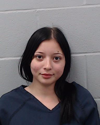 ARENAS, FRANCES MARIE booking photo