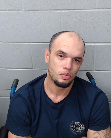 Johnson, Michael Ian arrested by Hays County SO/PD