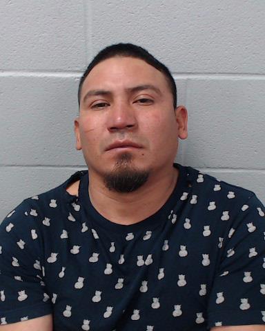 Alvarado Martinez, Melvin arrested by Hays County SO/PD