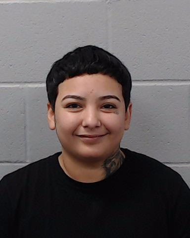 Garza, Brittney Nichole arrested by Hays County SO/PD