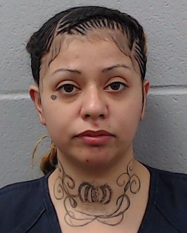 Gonzales, Brittany Nicole arrested by Hays County SO/PD