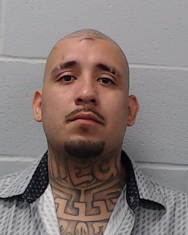 Gallegos, Andrew arrested by Hays County SO/PD