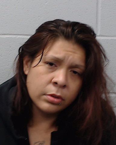 Castro, Jennifer Lee arrested by Hays County SO/PD