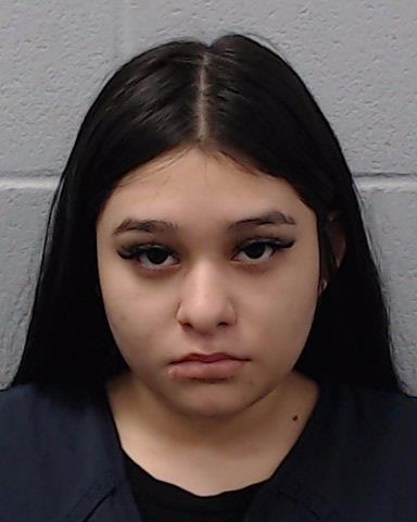Villarreal, Brianna Marie arrested by Hays County SO/PD