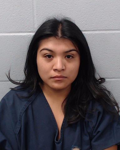 Reyes, Beatriz Elena arrested by Hays County SO/PD