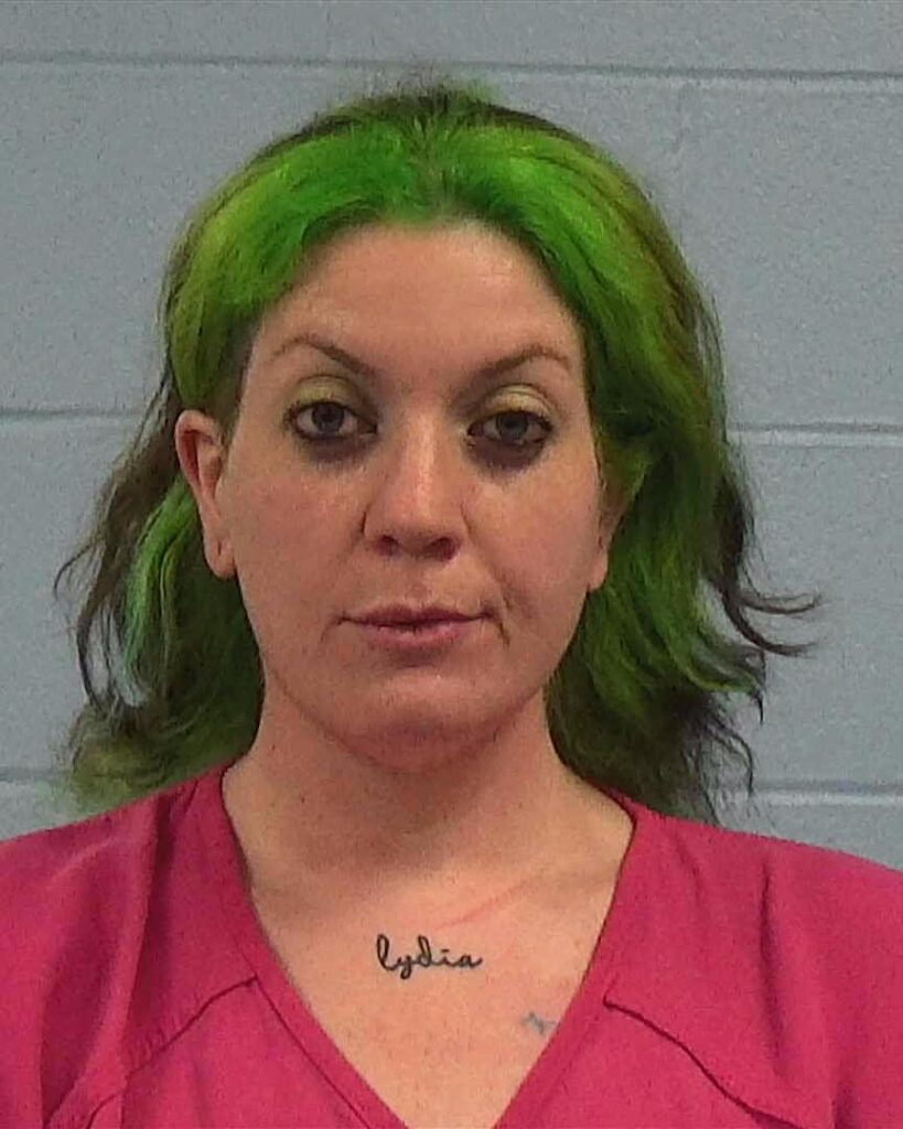 Huneycutt, Nikki Anne arrest record in Williamson County, Texas Huneycutt, Nikki Anne arrested in Williamson County, Texas mugshot