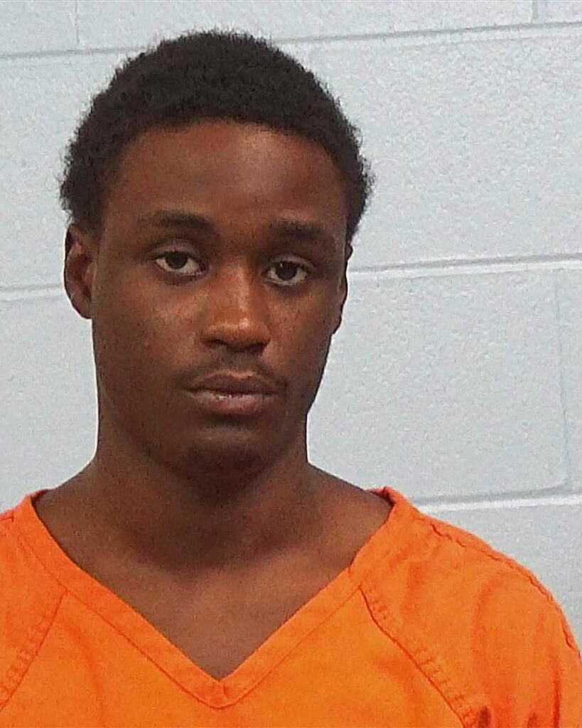 Ervin, Michael Lee arrested in Williamson County, Texas mugshot