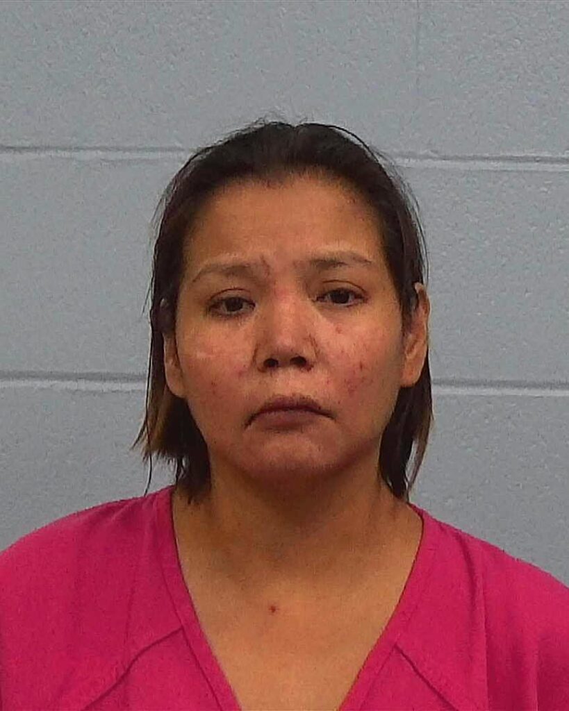 Ukalovich, Anida arrested in Williamson County, Texas mugshot